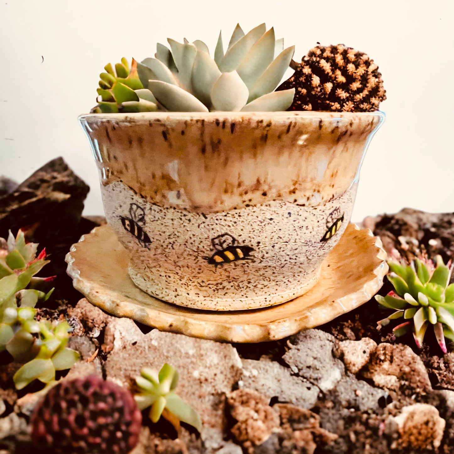 Honey Bee Plant Pot ~ 3”